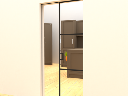 Black alu pocket doors