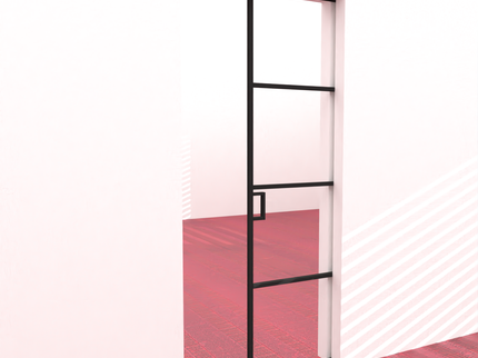 Black alu pocket doors
