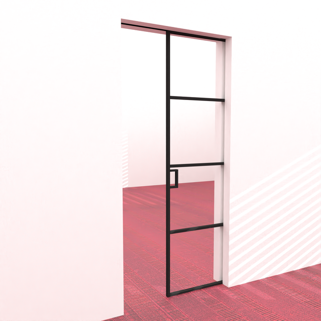 Black alu pocket doors