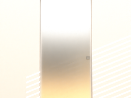 Glass pocket door - Up to 1000mm x 2300mm