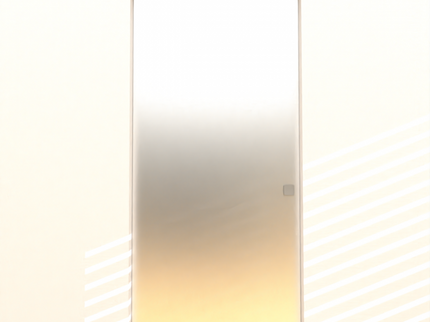 Fitting glass pocket door up to 1000mm x 2300mm